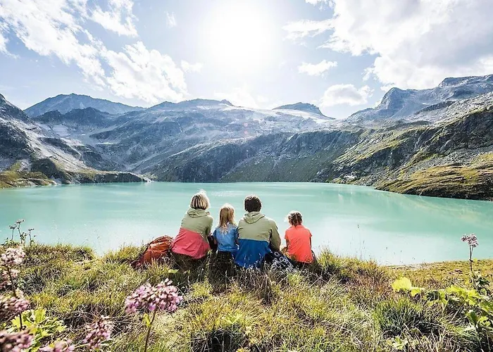 Pinzgau 2e Alpstuga Wald im Pinzgau